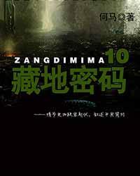 藏地密码在线听书